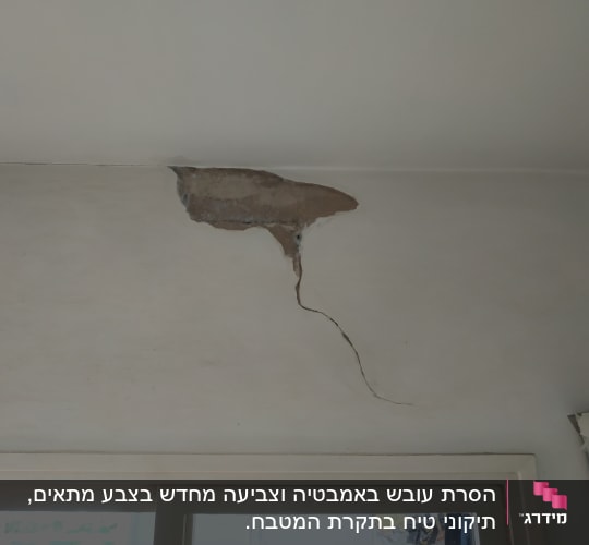 קיר עם סדק גדול ותקרה מתקלפת